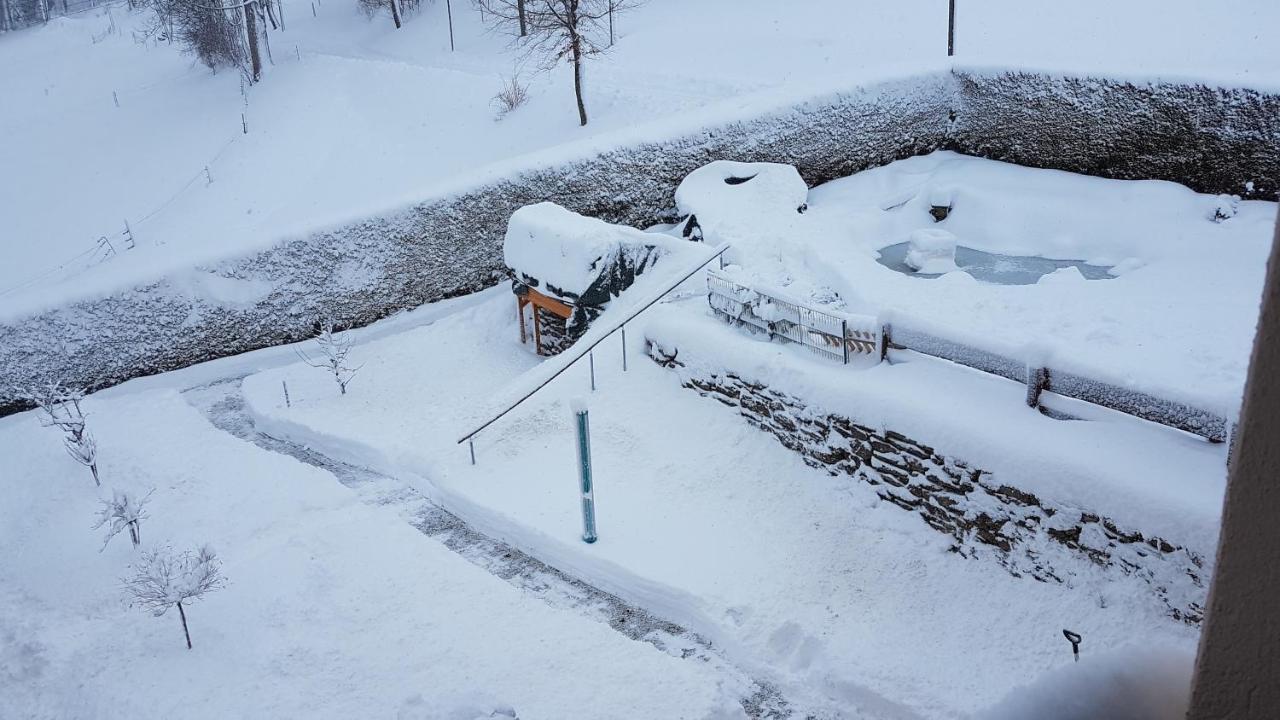 Waldhufenidyll Koenigswalde Im Erzgebirge Διαμέρισμα Konigswalde Εξωτερικό φωτογραφία