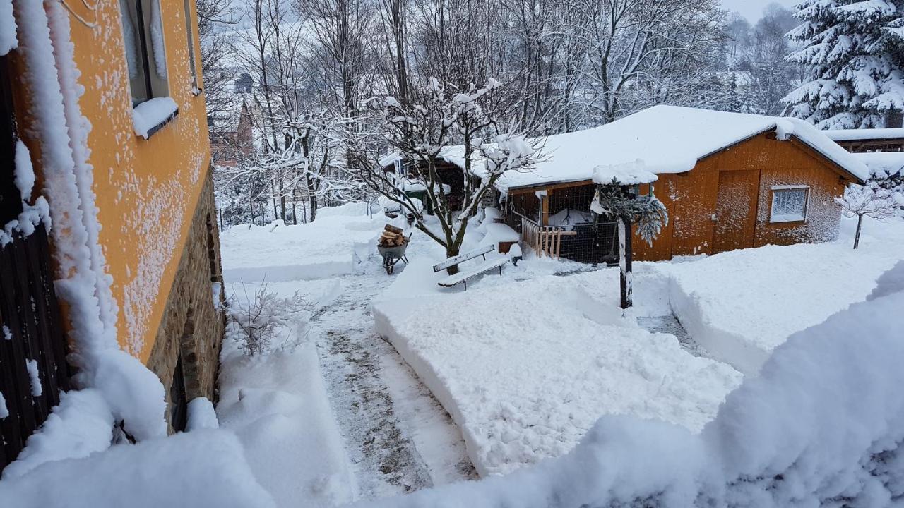 Waldhufenidyll Koenigswalde Im Erzgebirge Διαμέρισμα Konigswalde Εξωτερικό φωτογραφία